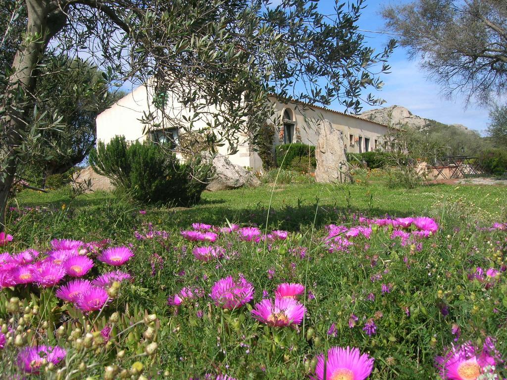 B&B La MeSenda Arzachena Exterior foto